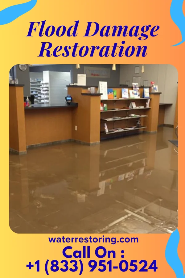 Flood Damage Restoration in La Belle, MO
