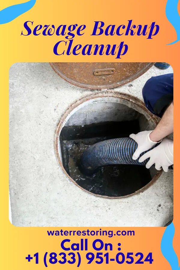 Sewage Backup Cleanup in La Belle, MO